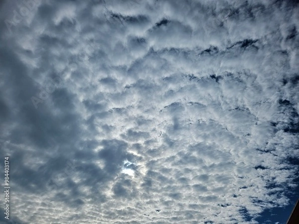 Obraz flock of clouds