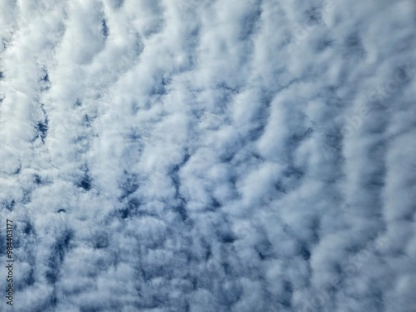 Obraz flock of clouds