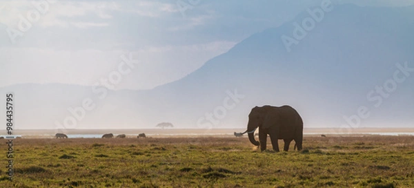 Fototapeta Elephant Grazing on the Open Plains of Amboseli National Park, Kenya with Misty Mountains in the Background – African Wildlife and Scenic Landscape