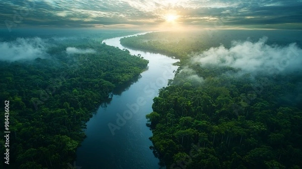 Fototapeta Serene aerial perspective of the Amazon River cutting through dense tropical rainforest at dawn