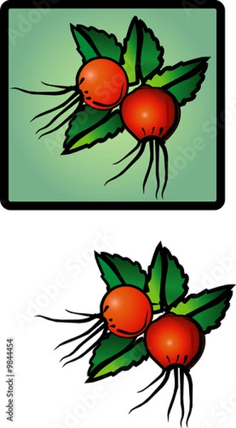 Obraz Dogrose. Drawing.