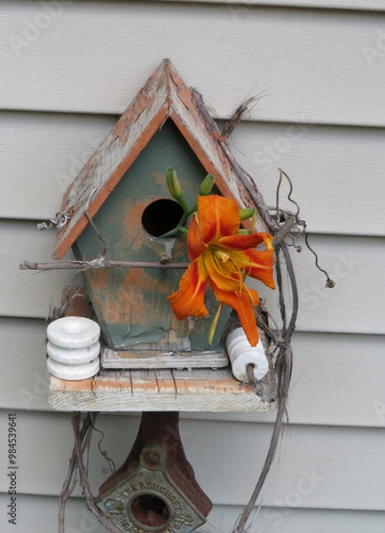 Obraz Tiger Lily Bird House