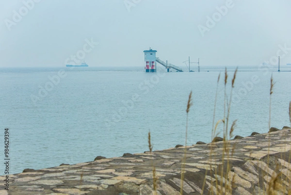 Fototapeta Seawall and reed marshes on Hengsha Island, Chongming District, Shanghai