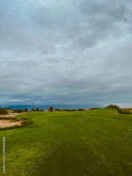 Fototapeta grass and blue sky