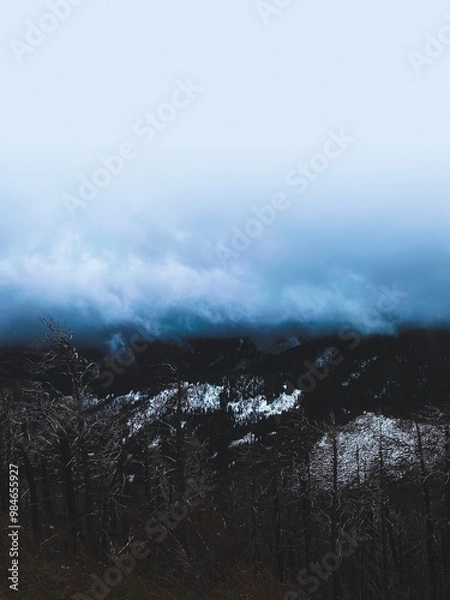 Obraz clouds over the mountains