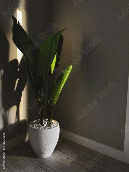 Obraz plant in a vase