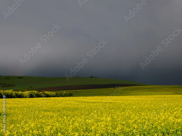 Obraz Mountain landscape. A view of the green hills with storm clouds looming over them. A field of blooming rapeseed in the foreground.