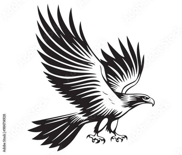 Obraz  Flying eagle vector illustration