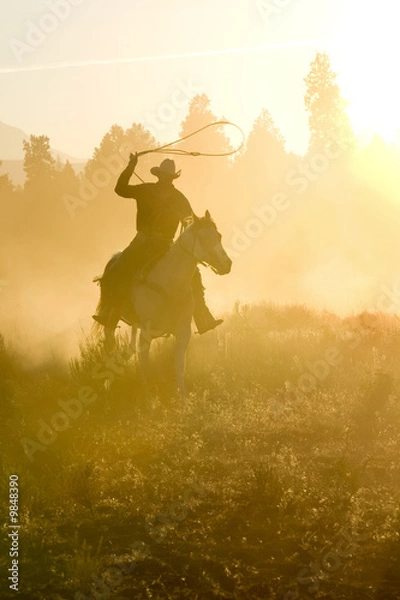 Obraz Cowboy silhouette galloping and roping through the desert