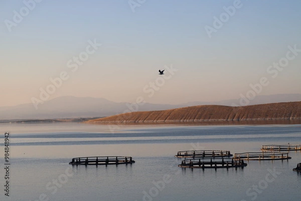 Obraz sunset on the lake