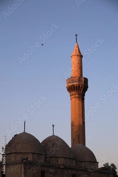 Obraz mosque country