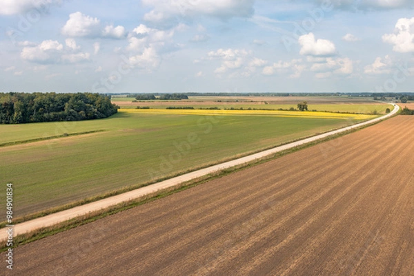 Obraz landscape with road