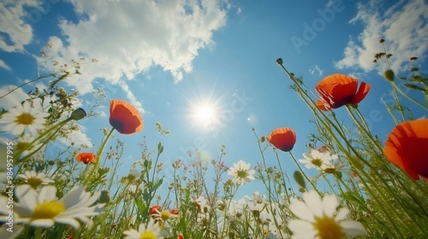 Obraz In the foreground, various wildflowers bloom in an open field under the bright sunshine. The sky is blue with white clouds, and there's some lens flare.