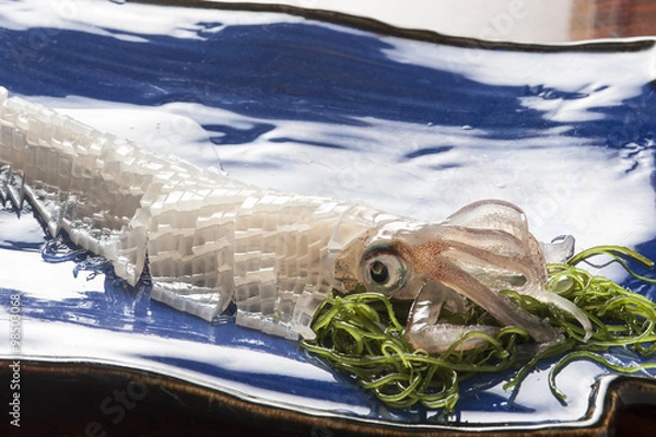 Obraz 呼子のイカ　活き造り