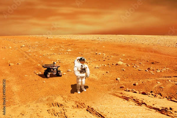 Fototapeta Martian Explorer No.1h - Elements of this image furnished by NASA