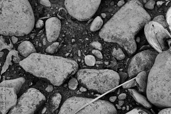 Obraz Autumn sunshine along the Susquehanna River bank on our walk 