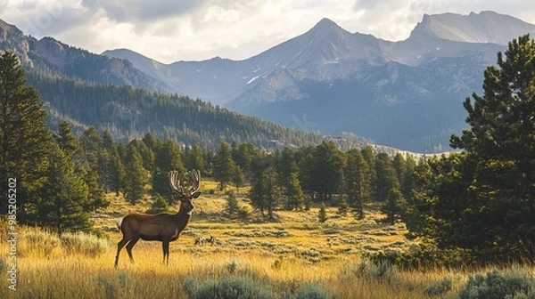 Obraz A majestic elk stands in a grassy meadow, surrounded by mountains.