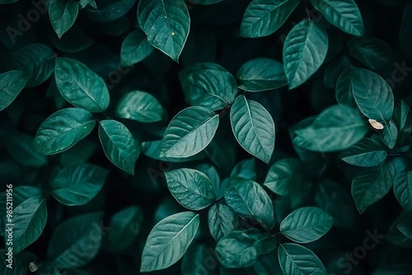 Obraz Green Leaves Abstract Nature Background Pattern