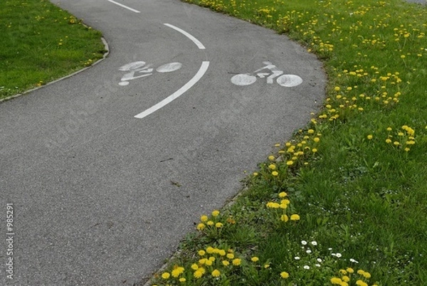 Obraz le banc et la piste