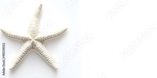 Obraz starfish on white background