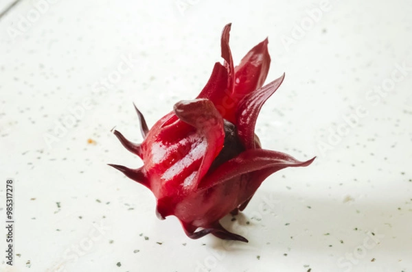 Fototapeta The Side View of a Sorrel Calyx