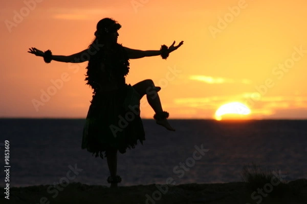 Fototapeta Hula dancer in  the sunset