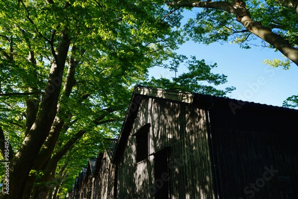 Obraz 酒田　山居倉庫