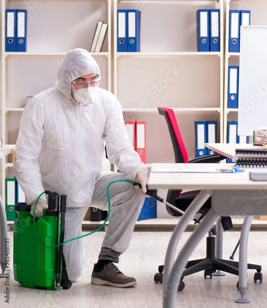 Obraz Professional contractor doing pest control at office