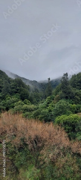 Fototapeta landscape with clouds