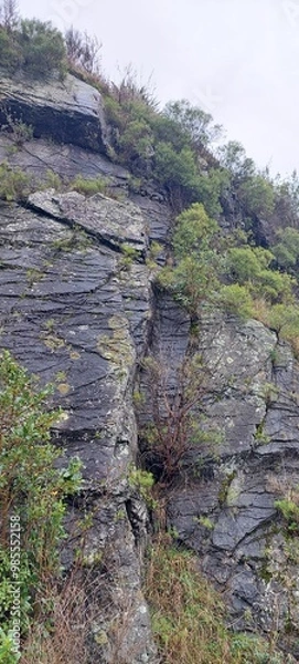 Fototapeta cliff face rock