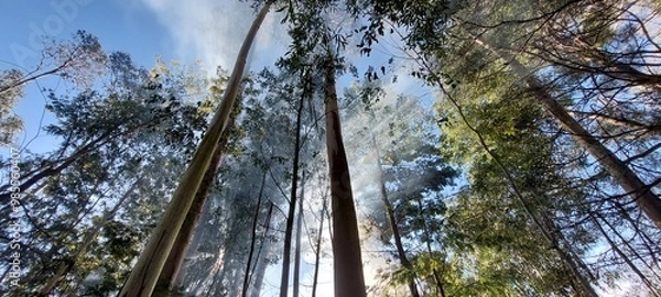Fototapeta sky and clouds
