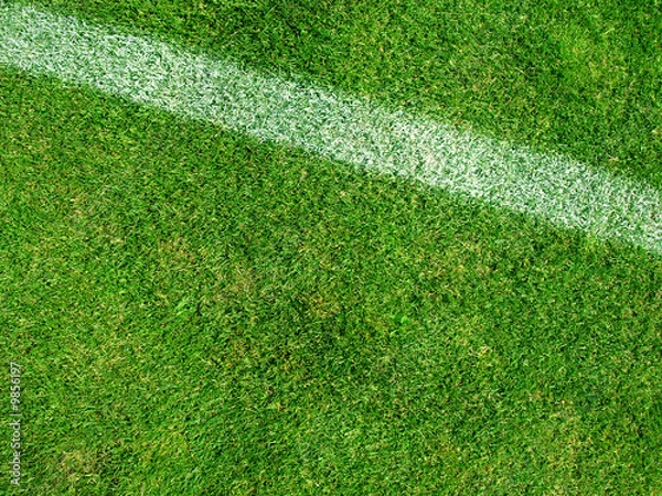 Obraz Linie auf Rasen