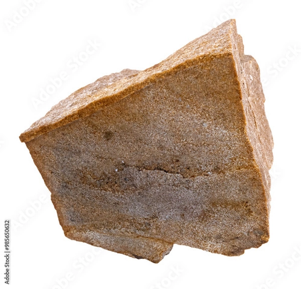 Obraz Brown quartzite. Metamorphic rock specimen.