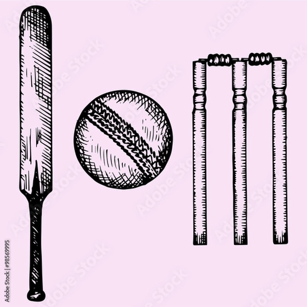 Obraz Set of equipment for cricket: bat, ball, wicket, doodle style, sketch illustration, hand drawn, vector