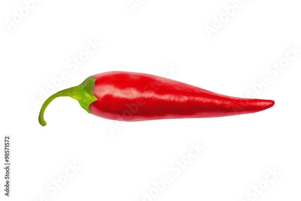 Obraz One red hot chili pepper, with clipping path