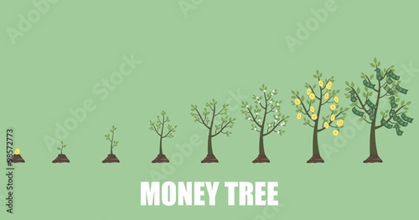 Obraz Growing Money Tree in progress