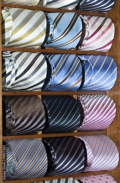 Obraz Ties