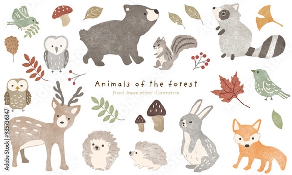 Fototapeta かわいい森の動物たちと秋の植物のイラスト素材セット