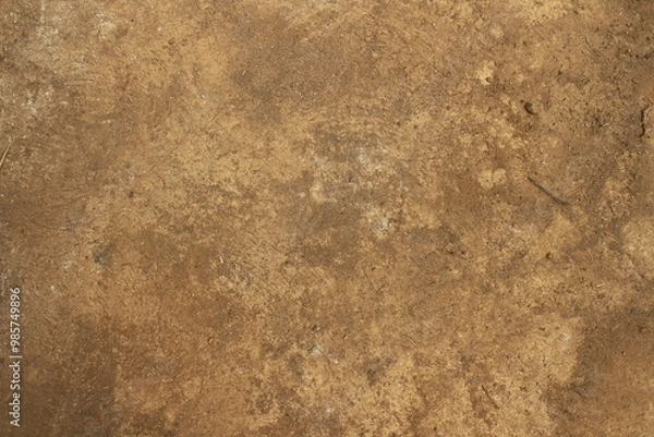 Obraz bright brown yellow ground texture background 