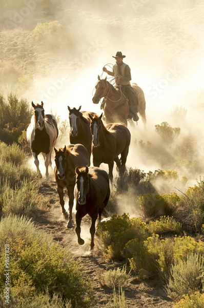 Obraz Single cowboy guiding a line of horses through the desert