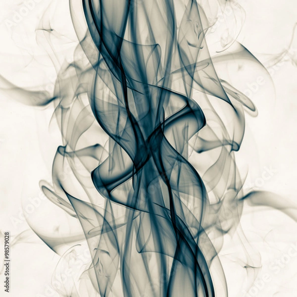 Obraz abstract background smoke curves and wave