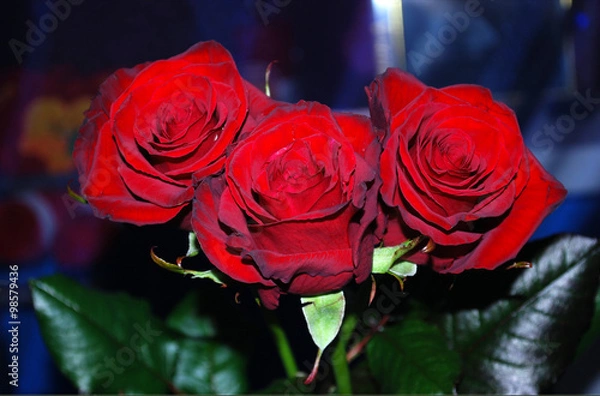 Obraz букет красных роз