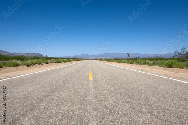 Fototapeta Scenic road in the Mojave park at summer day
