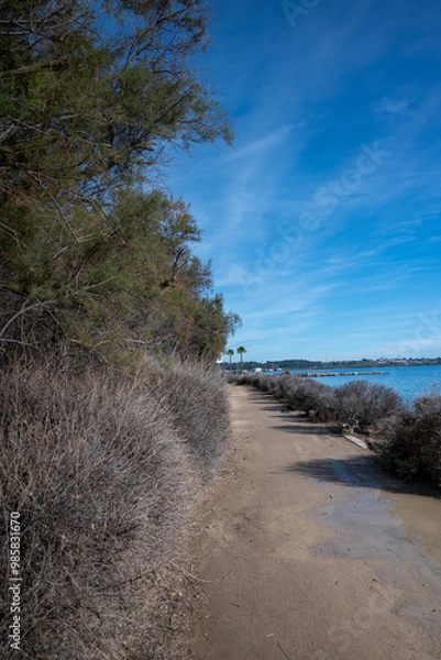 Obraz chemin côtier