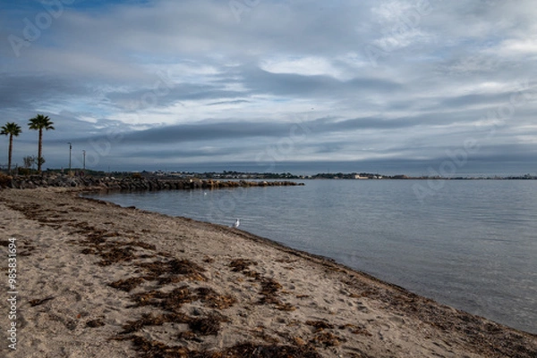 Obraz rive de l'étang de Thau