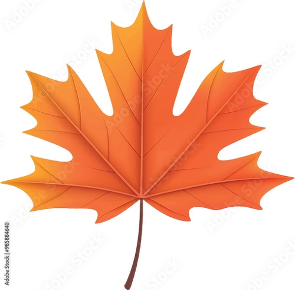 Fototapeta Maple Leaf vector on transparent background for autumn fall designs and decor