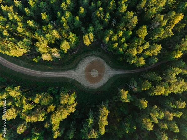 Fototapeta Top view of the way between forest with circle in the middle in morning sun. Nature background
