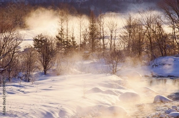 Fototapeta 信州の冬景色