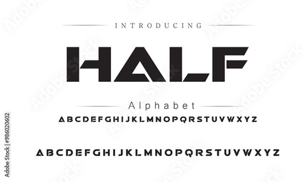 Obraz Elegant Brush Font for Personal Projects