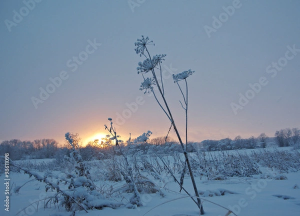 Obraz snowfall Winter landscape.